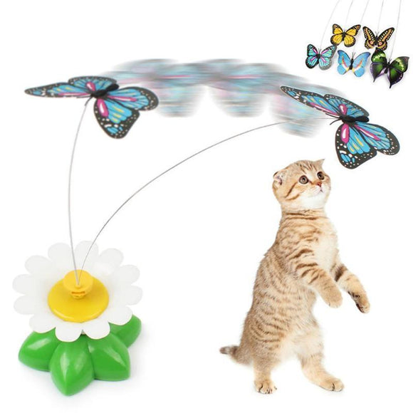 Bird Butterfly Electric Rotating Cat Toy-TrendyVibes.CO