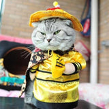 Funny Cosplay Costumes For Pets-TrendyVibes.CO