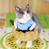 Funny Cosplay Costumes For Pets-TrendyVibes.CO