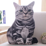 Soft Stuffed Realistic Cat Pillows-TrendyVibes.CO