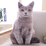 Soft Stuffed Realistic Cat Pillows-TrendyVibes.CO