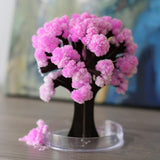 Inspire Uplift Gift Magic Cherry Blossom Tree