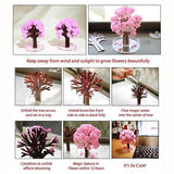 Inspire Uplift Gift Magic Cherry Blossom Tree