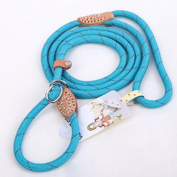 Reflective Nylon Leash for Big Dogs-TrendyVibes.CO